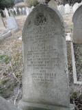 image of grave number 295535